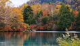 ทัวร์ญี่ปุ่น-TOKYO – FUJI – NIKKO 5 วัน 3 คืน (SL)