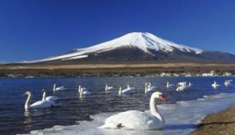 ทัวร์ญี่ปุ่น-ซุปตาร์ กระท่อมหิมะ TOKYO FUJI FUKUSHIMA 5 วัน 3 คืน (XJ) รูปที่ 1