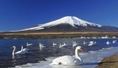 ทัวร์ญี่ปุ่น-ซุปตาร์ กระท่อมหิมะ TOKYO FUJI FUKUSHIMA 5 วัน 3 คืน (XJ)