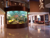 รูปย่อ ขายและให้เช่าบ้านหรู ซอย สุขุมวิท 71 Luxury House-Resort for Sale and Rent In Sukhumvit 71 รูปที่4