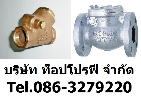 วูซังวาล์ว Valve วาล์วน้ำ วาล์วแก๊ส วาล์วลม วาล์วน้ำมัน Check Valves เช็ควาล์วกันย้อนกลับ Non Return Valve 0863279220 รูปที่ 1