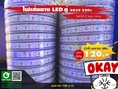 👉ไฟเส้นยาง LED คู่ (2835) 220v