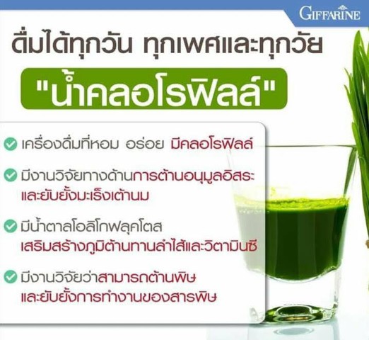 คลอโรฟิลล์ ซี-โอ กิฟฟารีน ขับของเสียขับสารพิษ ขับไขมัน รูปที่ 7