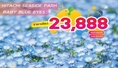 ทัวร์ญี่ปุ่น-ซุปตาร์ เบบี้บลูส์ TOKYO FUJI FUKUSHIMA 5 วัน 3 คืน (XJ)