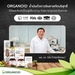 รูปย่อ ORGANOID Omega 3 6 9 จากน้ำมันถั่วดาวอินคาสกัดเย็น ราคาส่ง ถูกที่สุด จัดส่งฟรี รูปที่3