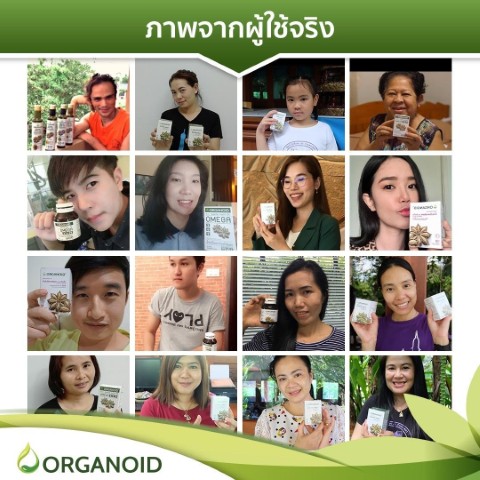 ORGANOID Omega 3 6 9 จากน้ำมันถั่วดาวอินคาสกัดเย็น ราคาส่ง ถูกที่สุด จัดส่งฟรี รูปที่ 6