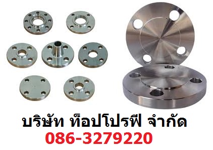 หน้าแปลนประปา Galvanize Steel Flange หน้าแปลนเหล็ก Steel Flange หน้าแปลนสแตนเลส Stainless Steel Flange 0863279220 รูปที่ 1