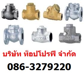 วาล์ว Valve วูซังวาล์ว Woosung Valve เช็ควาล์ว Check Valve เช็ควาล์วกันย้อนกลับ Non Return Valve 0863279220 รูปที่ 1