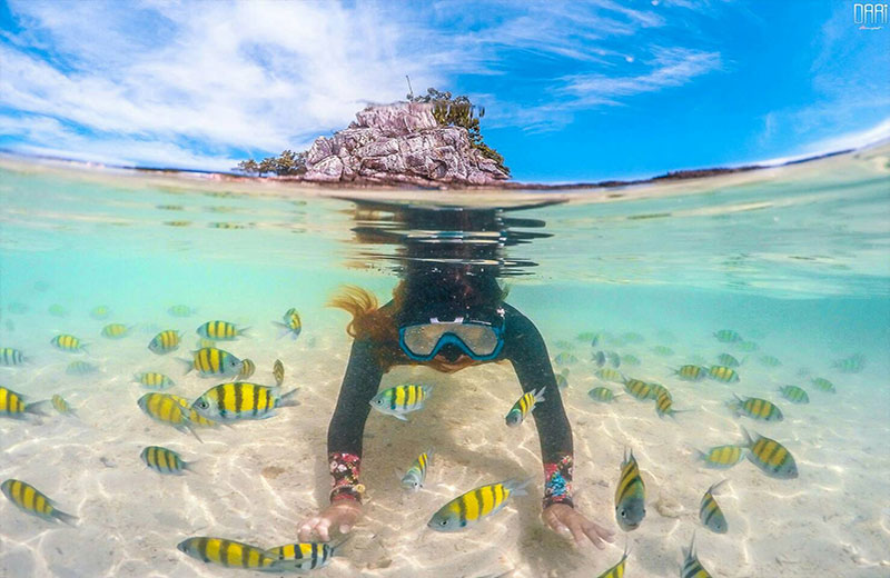 ทัวร์เกาะไม้ท่อน+พีพีวิวพ้อย+เกาะไข่ รูปที่ 4