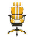 เก้าอี้สุขภาพ | Ergohuman.co.th