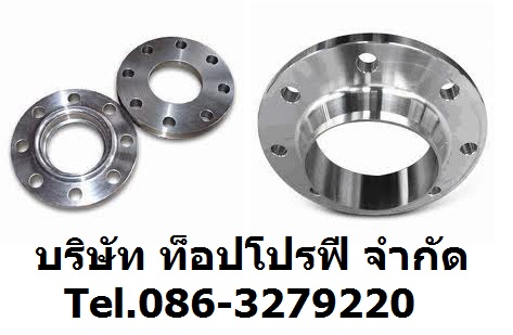 อุปกรณ์ฟิตติ้ง Fitting หน้าแปลนเหล็ก Flange หน้าแปลนแบบสวมเชื่อม หน้าแปลนแบบเชื่อมคอสูง 0863279220 รูปที่ 1