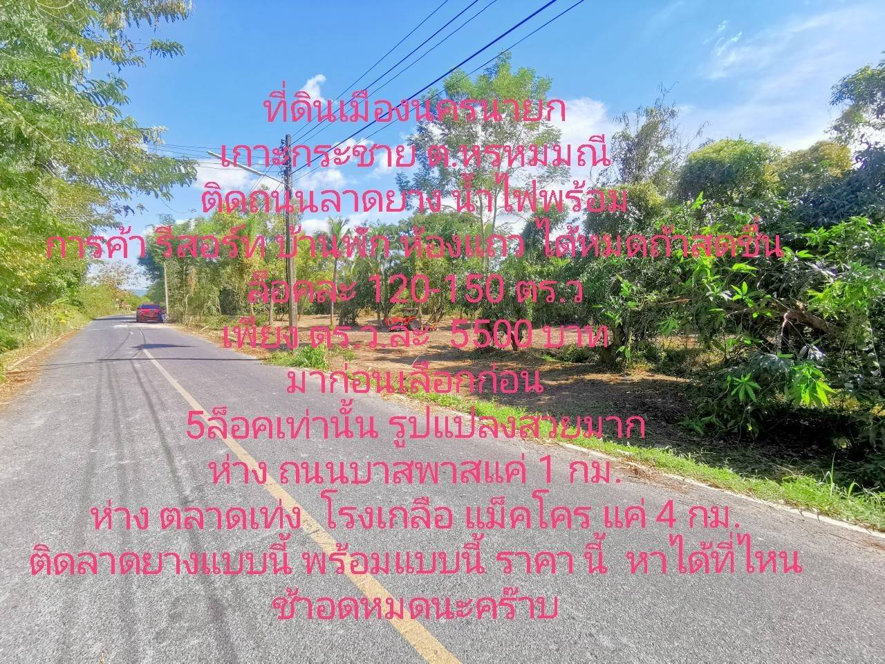ที่ดินเปล่านครนายก อ.บ้านนา อ.เมือง วังรี ราคาถูกมาก ถูกกว่าตลาด  รูปที่ 3