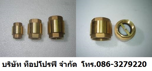 เช็ควาล์วกันย้อนกลับ Non Return Valve เช็ควาล์ว Check Valves สำหรับ น้ำมัน แอร์ น้ำ 0863279220 รูปที่ 1