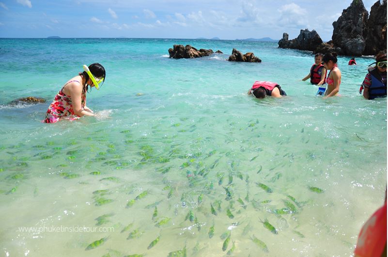 ทัวร์เกาะไม้ท่อน+พีพี+วิวพ้อย+เกาะไข่ รูปที่ 4