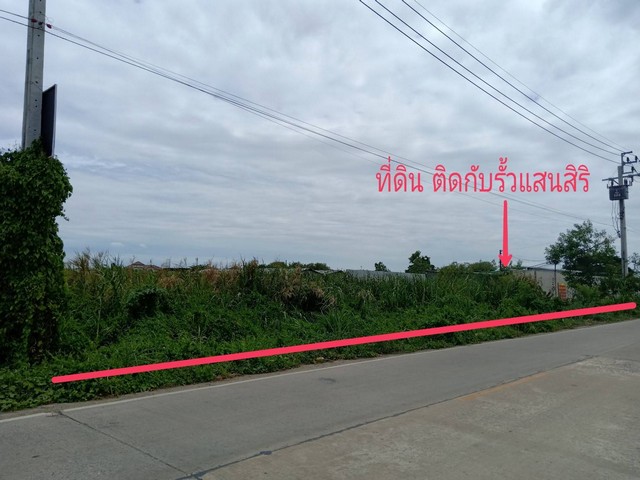 ขาย ที่ดินเปล่า น้ำ-ไฟ เข้าถึงแล้ว เนื้อที่ 1 ไร่ 84 ตร.ว. อ.บางใหญ่ นนทบุรี ใกล้วัดป่ามณีกาญจน์  รูปที่ 1