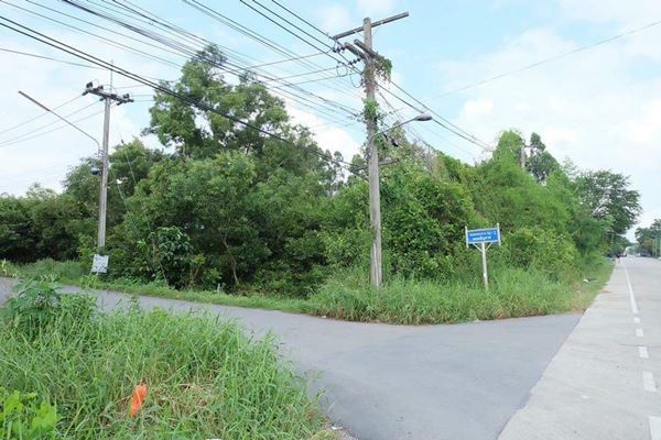 ขายที่ดินคลองสาม อ.คลองหลวง จ.ปทุมธานี 192 ตรว. ถนนเรียบคลองสาม ซอย 103 เพ็ญภาค รูปที่ 3