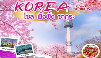 ทัวร์เกาหลี-เกาหลี โซล พิ้งพิ้ง ซากุระ 5 วัน 3 คืน (KE) รูปที่ 1