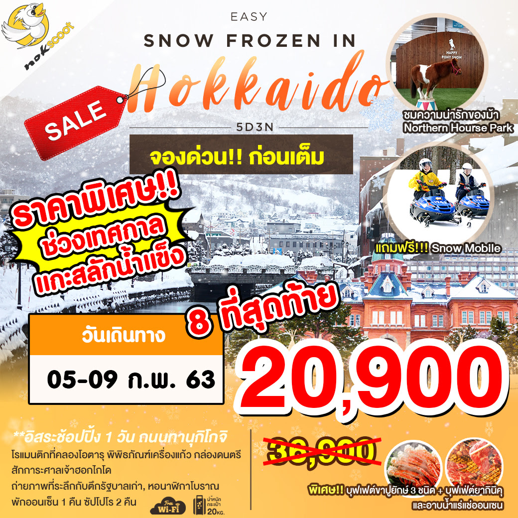 ด่วน Hokkaido Snow Festival 20,900 8ที่สุดท้าย รูปที่ 1