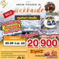 ด่วน Hokkaido Snow Festival 20,900 8ที่สุดท้าย