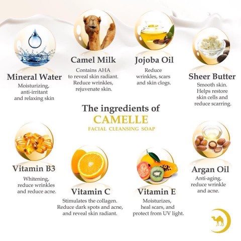 CAMELLE FACIAL SOAP สบู่ล้างหน้าน้ำนมอูฐ คาเมลเล่ มหัศจรรย์ของขวัญจากทะเลทราย รูปที่ 7