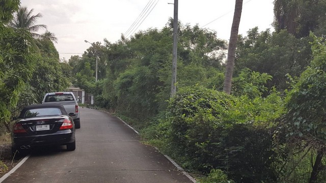 ขายที่ดิน ท่าอิฐ นนทบุรี ใกล้สถานีรถไฟฟ้า บางรักน้อย ที่ดินสวย ทำเลดี รูปที่ 1