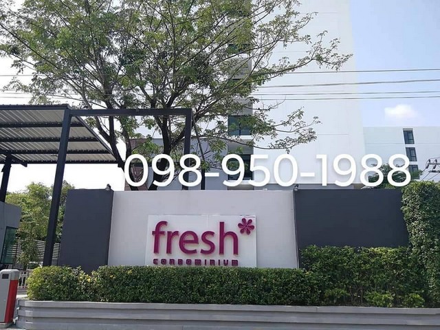 คอนโด เฟรช คอนโด (Fresh Condo) ใกล้สถานีรถไฟฟ้าเตาปูน-บางโพ รูปที่ 1