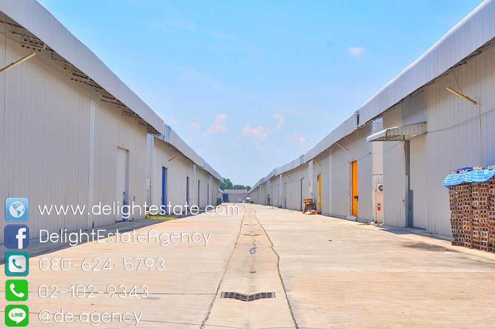 DE429 โกดังให้เช่า 135 - 900 ตร.ม. ย่านถนนศรีนครินทร์-ร่มเกล้า ลาดกระบัง ใกล้สนามบินสุวรรณภูมิ  รูปที่ 3