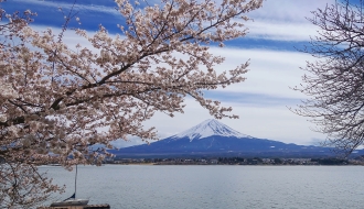 ทัวร์ญี่ปุ่น-Love Japan โตเกียว ฟูจิ พิงค์มอส 5 วัน 3 คืน (XW) รูปที่ 1