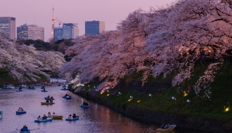 ทัวร์ญี่ปุ่น-TOKYO POPULAR ชมซากุระ FREE DAY 5 วัน 3 คืน (SL) รูปที่ 1