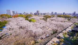 ทัวร์ญี่ปุ่น-SAKURA FUKUOKA BEPPU 5 วัน 3 คืน (SL) รูปที่ 1