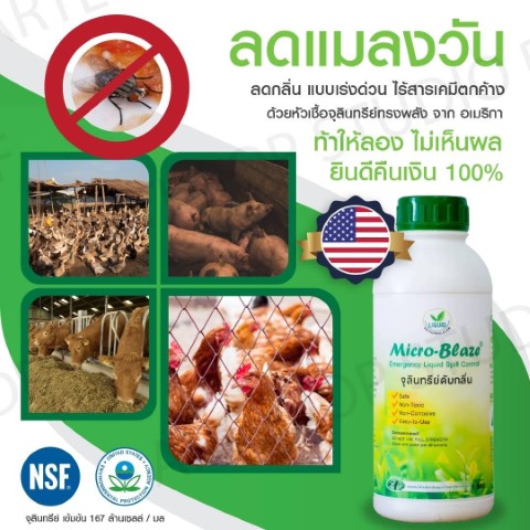 หัวเชื้อจุลินทรีย์ชนิดเข้มข้นไมโคร-เบลส ใช้ในการบำบัดน้ำเสียและดับกลิ่นอันไม่พึงประสงค์ รูปที่ 3