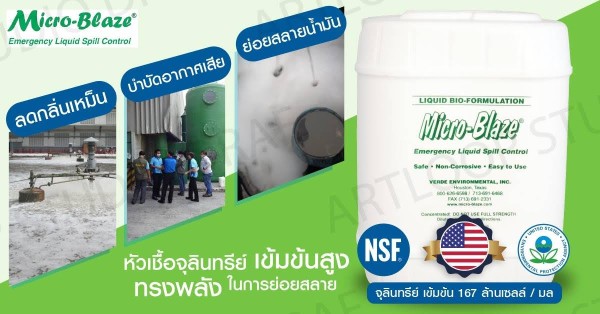 หัวเชื้อจุลินทรีย์ชนิดเข้มข้นไมโคร-เบลส ใช้ในการบำบัดน้ำเสียและดับกลิ่นอันไม่พึงประสงค์ รูปที่ 7