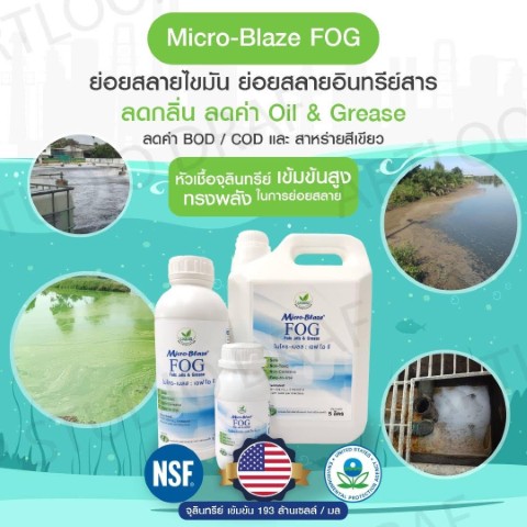 หัวเชื้อจุลินทรีย์ชนิดเข้มข้นไมโคร-เบลส ใช้ในการบำบัดน้ำเสียและดับกลิ่นอันไม่พึงประสงค์ รูปที่ 5