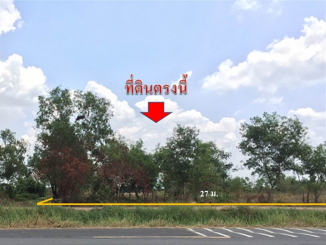 LS-8983 ขายที่ดินเปล่า 2 ไร่ คลอง4 คลองหลวง จ.ปทุมธานี  ใกล้วัดพระธรรมกาย โทร.จอย 085-141-8988     รูปที่ 1