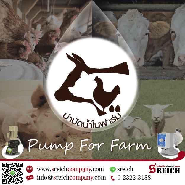 เอส ไรคส์ ขายปั๊มเคมี Chemical pump ปั๊มคลอรีน ปั๊มน้ำยา เครื่องจ่ายน้ำยา ฟาร์มเลี้ยงสัตว์  รูปที่ 2