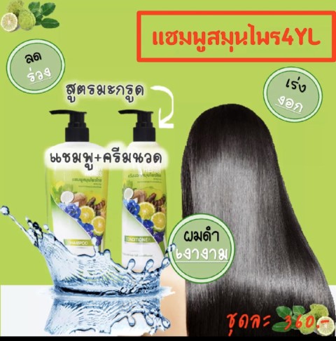 แชมพูและครีมนวดสมุนไพรไทยต้มสด 4YL ASIAN HERBS รูปที่ 4