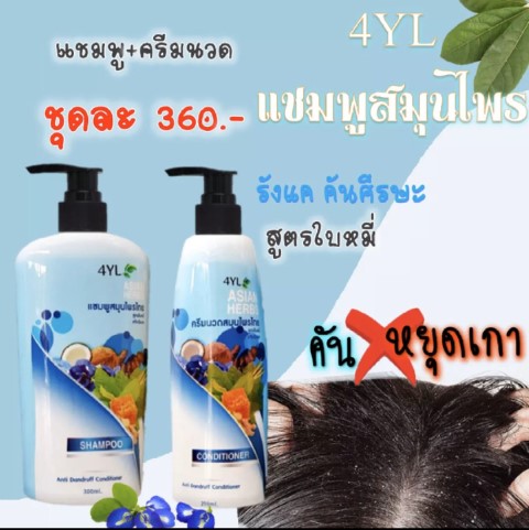 แชมพูและครีมนวดสมุนไพรไทยต้มสด 4YL ASIAN HERBS รูปที่ 3