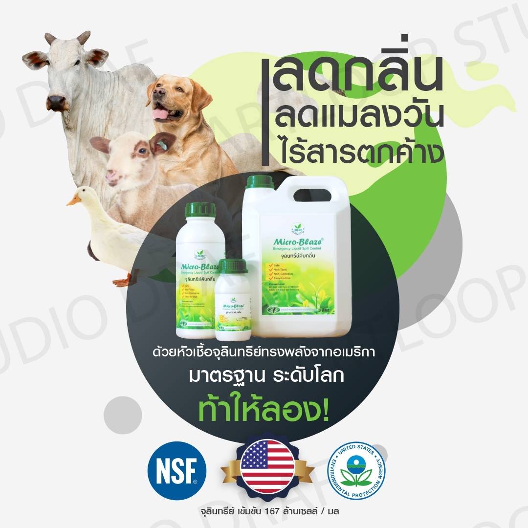 กำจัดกลิ่นเหม็น ลดแมลงวัน ลดแก๊สแอมโมเนีย ในฟาร์มปศุสัตว์ เห็นผลทันทีที่ใช้ ! รูปที่ 6