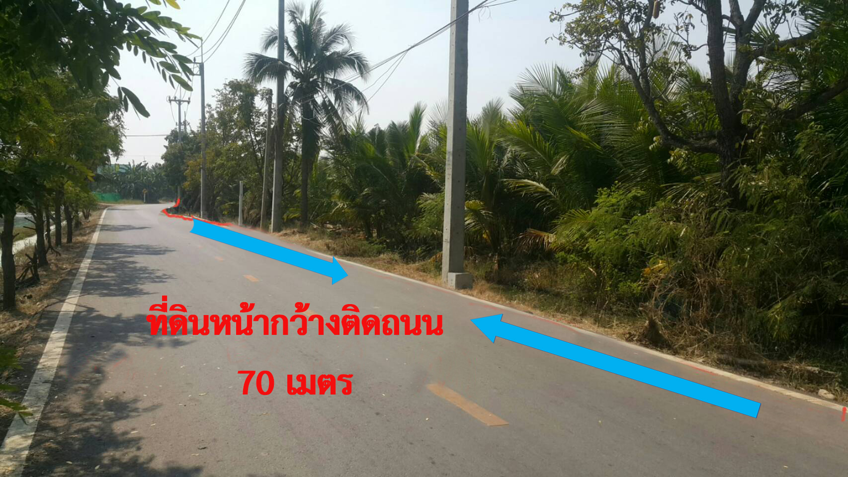 ที่ดินจัดสรร ทำเลทอง สำหรับบ้านจัดสรร คลังสินค้า โรงงานอุตสาหกรรม รูปที่ 1