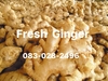 รูปย่อ ขิงแก่ สด จากไร่   Fresh Ginger  รูปที่1