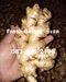 รูปย่อ ขิงแก่ สด จากไร่   Fresh Ginger  รูปที่2