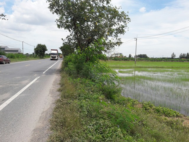 ขายที่ดิน 32-1-85 ไร่ ติดถนนธัญบุรี-วังน้อย หน้ากว้าง  74 เมตร  ลึก 700 เมตร รูปที่ 1