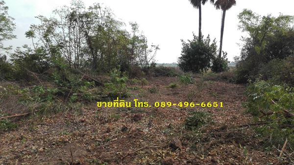 ขายที่ดินถมแล้ว อ.อินทร์บุรี จ.สิงห์บุรี ใกล้ถนนสายเอเซีย 356 ตร.ว. รูปที่ 5