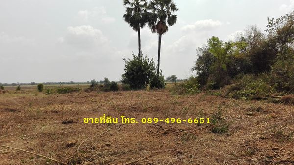 ขายที่ดินถมแล้ว อ.อินทร์บุรี จ.สิงห์บุรี ใกล้ถนนสายเอเซีย 356 ตร.ว. รูปที่ 4