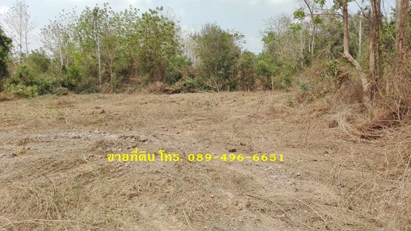 ขายที่ดินถมแล้ว อ.อินทร์บุรี จ.สิงห์บุรี ใกล้ถนนสายเอเซีย 356 ตร.ว. รูปที่ 6