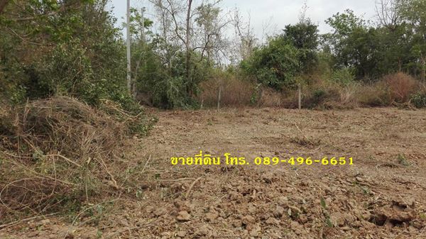 ขายที่ดินถมแล้ว อ.อินทร์บุรี จ.สิงห์บุรี ใกล้ถนนสายเอเซีย 356 ตร.ว. รูปที่ 7
