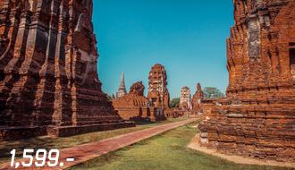 ทัวร์อยุธยา-อิ่มบุญสุขใจ ทำบุญไหว้พระ9วัด อยุธยา 1 วัน (รถตู้ปรับอากาศ). รูปที่ 1