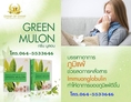 ดูแลอาการภูมิแพ้ Green Mulon กรีน มูลอน ไอเรื้อรัง​ จามบ่อย​ คัดจมูกน้ำมูกไหลเคืองตา​ แสบตา​ คันที่หัวตา