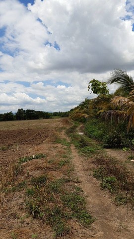 ขายที่ดิน ในจังหวัดเชียงใหม่ อ.สารภี ใกล้ถนนซุปเปอร์ไฮเวย์เชียงใหม่-ลำปาง รูปที่ 1