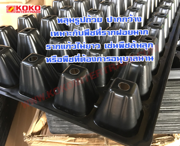 ถาดเพาะชำกล้าไม้ 50 หลุม เหลี่ยม หนา0.7มม มีขอบ 1กล่อง รูปที่ 3